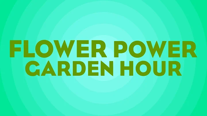 Flower Power Garden Hour 166:  December To Do & Li...