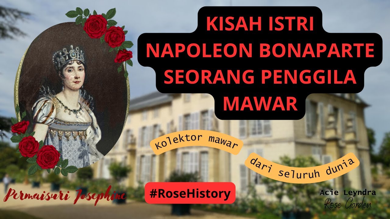 Kisah Istri Kaisar Napoleon Bonaparte Seorang Penggila Mawar // Permaisuri Josephine Dan Mawar