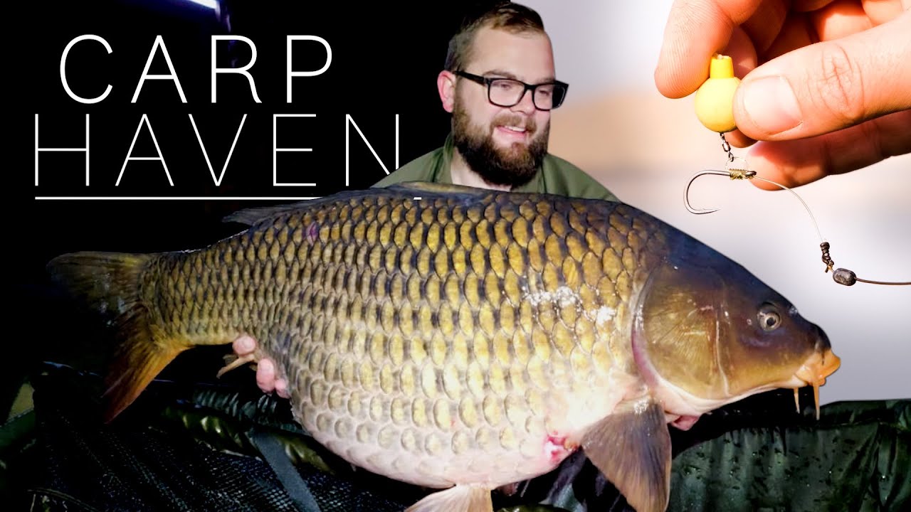 Carp Fishing for BIG CARP in South Africa at Carp HAven (New Personal Best  Rig Explained) 