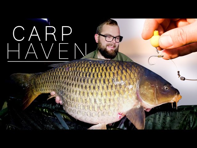 Carp Fishing for BIG CARP in South Africa at Carp HAven (New