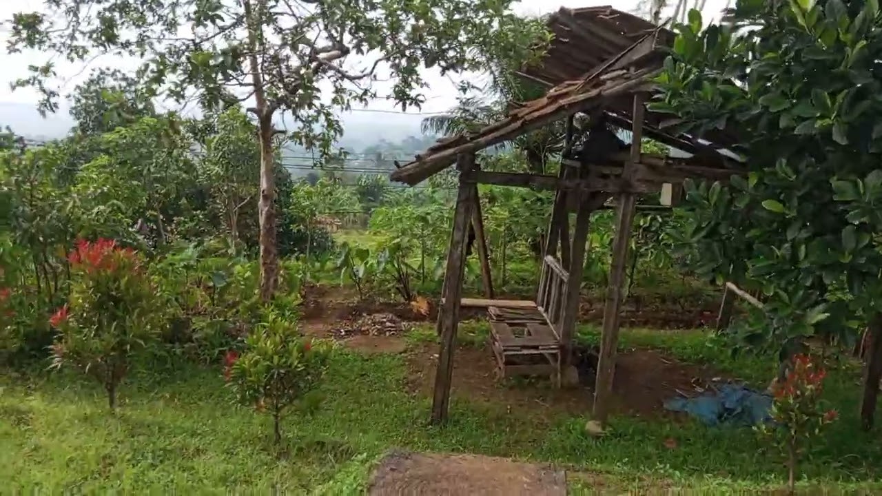 Dijual tanah kosong berupa kebun pemandangan gunung salak #infotanahmurah 