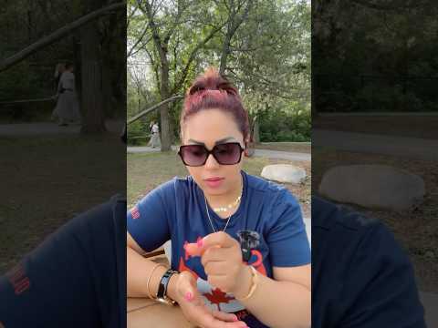 شكل حياتنا في مقاطعه البرتا كندا بريستيج