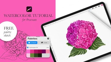 Procreate Watercolor Hydrangea Tutorial - Step by step - Drawing tutorial by OwlAsya