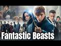Fantastic Beasts: The Crimes of Grindelwald (2018) Movie in English HD facts &amp; updates