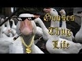 Geese. Thug Life