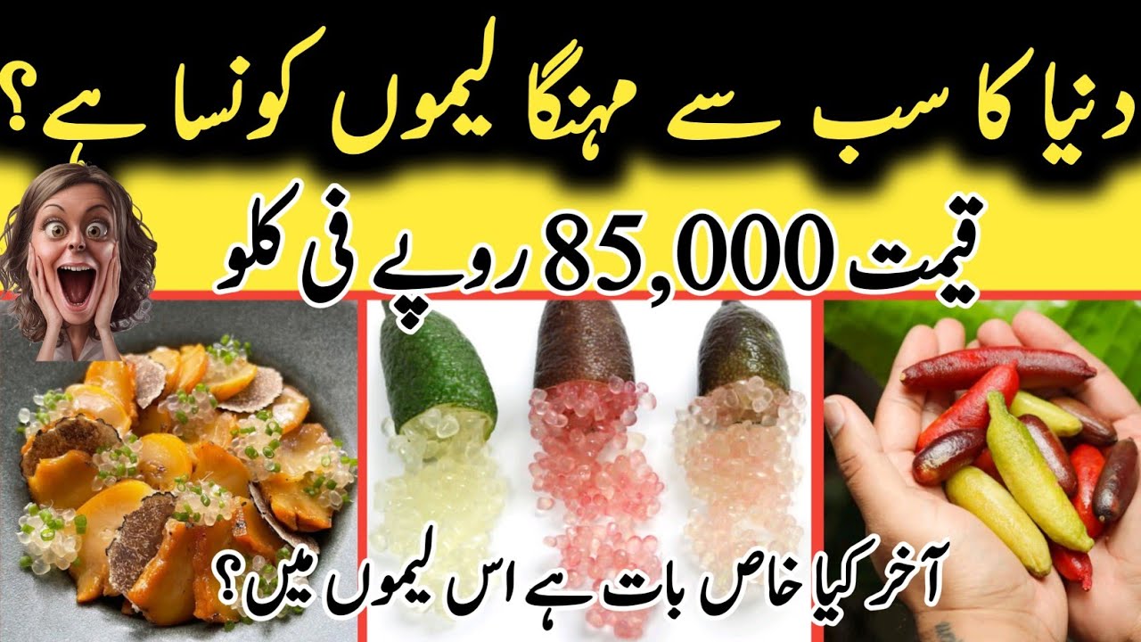 Finger Lime In Urdu L Finger Lime Bonsai l Australian Finger Lime L finger-lime-in-urdu-l-finger-lime-bonsai-l-australian-finger-lime-l