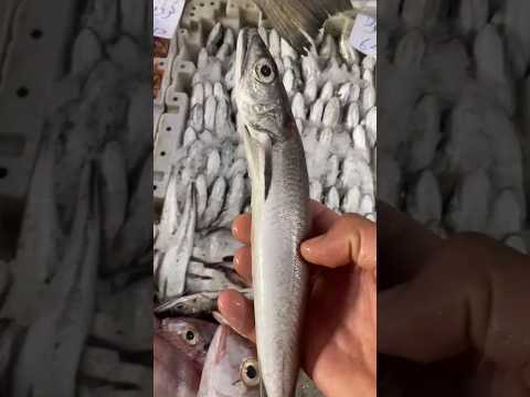 ثمن السمك بالمغرب اليوم الإثنين سوق المغرب سوق اكادير اسماك المغرب جودة السمك