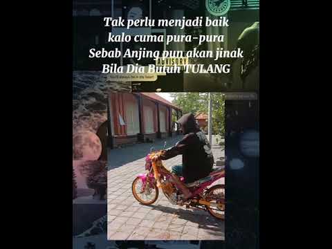 story wa satria fu terbaru 2021