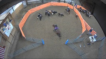 Big Sky Ranch Sorting Saddle Series #2 - #8 Ranch Hand H/C - Round #1 - Ride #1