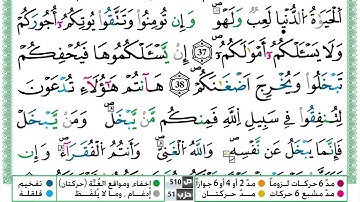 سورة محمد القسم الرابع مكرر ياسين الجزائري برواية ورش عن نافع