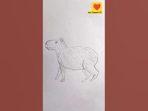 Capybara drawing: Tutorial #shorts - YouTube