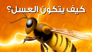 كيف يصنع النحل العسل؟ #short