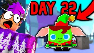 How To Find Elf On The Shelf On Day 22 Pet Simulator X