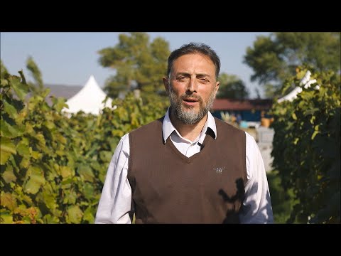 ლევან ვასაძე და კიკეთის სკოლის ბავშვები - 2020 წლის შემოდგომა მუხრანში