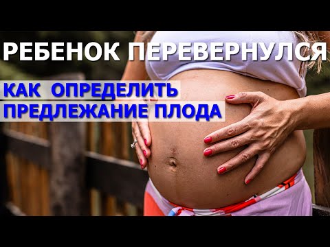 Как Определить Положение Ребенка В Животе Самостоятельно