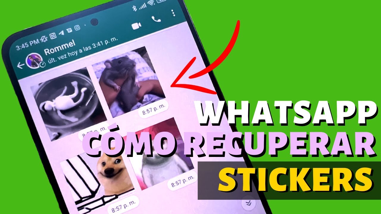 Dónde SE GUARDAN LOS STICKERS DE WHATSAPP en tu celular (Truco 2022