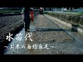 昔ながらの苗代を作る～①お米の自給自足～Old-fashioned Japanese rice farming.