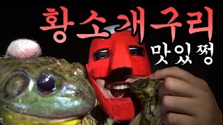 [우마]황소개구리! 잡고! 요리하고! 먹어보자!Catch Bullfrog, cook, and eat!