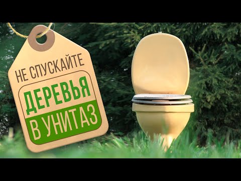 Видео: Почему бумага вредна для окружающей среды?