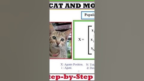 Cat and Mouse Algorithm #shorts @RitikaxRayPixy