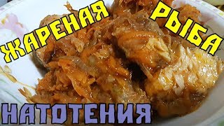 ЖАРЕНАЯ РЫБА Натотения в овощах под томатным соусом ЖАРЕНАЯ РЫБА Натотения в овощах под томатным соусом