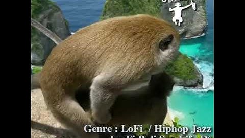 Bali Wedding DJ Sax | Genre : #LoFi #HiphopJazz | Song : Lo-fI Bali Sax Life IX