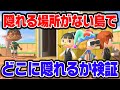 隠れる場所0の島でかくれんぼしたら最強説