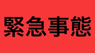 警察官ゆりのアメリカ生活の配信のサムネイル画像