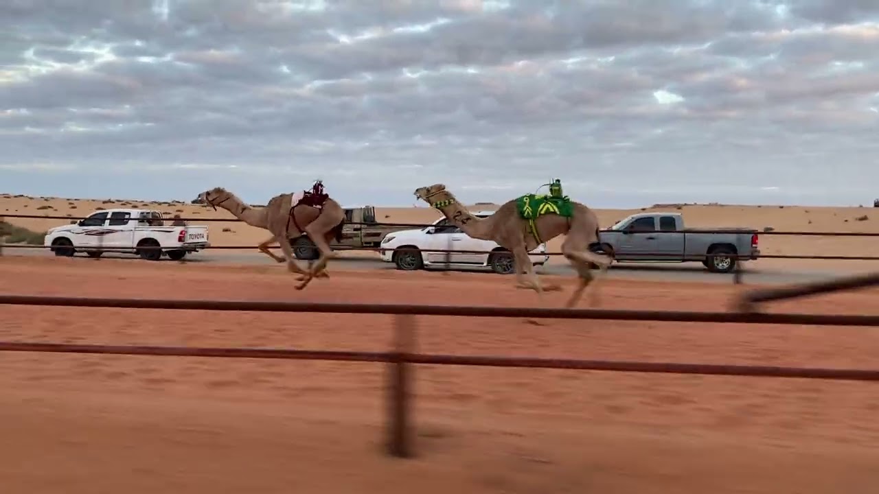 مراسيل/  عطالله سعيد محارب الشراري