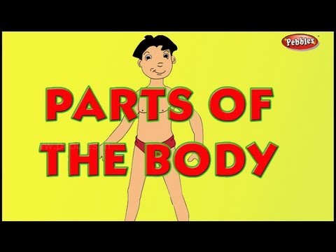 Parts of the body - Preschool - Tamil - YouTube