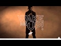 Avicii - Wake Me Up (Pete Tong Radio 1 Premiere) Oficial Video