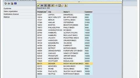 DEMO customer material info