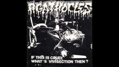 AGATHOCLES - 03 - splattered brains
