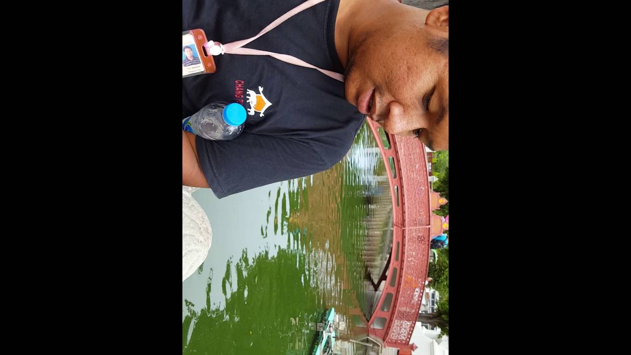 Animal feeding