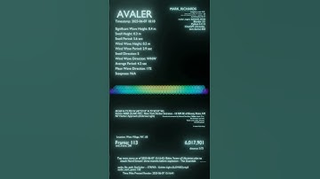 Wave Model of NYC Harbor Buoy made with Blender Python and ChatGPT