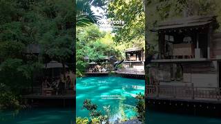 This might just be the PRETTIEST CAFE in Chiang Mai, Thailand-No. 39 Cafe #cafe #changmaithailand