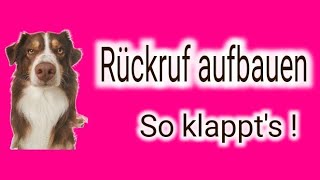 So geht Rückruf ‼️ Klappt garantiert 🐶👍 SO HÖRT DEIN HUND AUF DICH