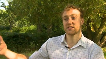 Murmuration modelling