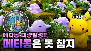 [이색여행] 서울에 메타몽 대량발생!! with 맨홀