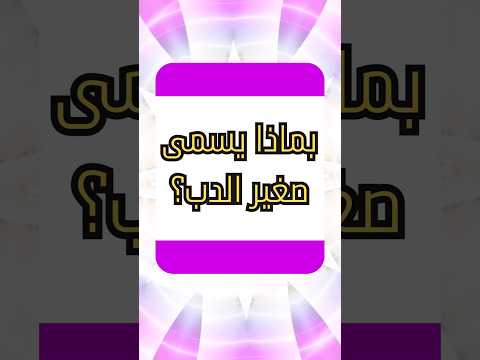 بماذا يسمى صغير الدب سؤال وجواب حول الحيوانات