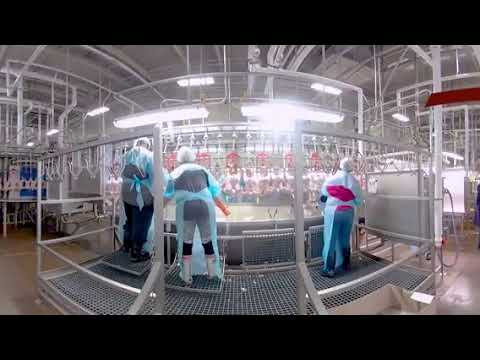 Take a 360° Virtual Reality Tour of a Chicken Processing Plant