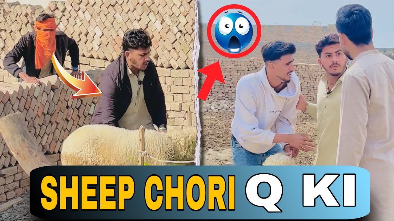 Sheep Chori Q ki😱🤔
