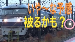 広島貨物タ出発 227の被り 山陽本線 上り 貨物列車 1052レ EF210-135号機 牽引 26B 補助機関車 EF210-311号機 JR貨物 天神川駅 2019.12.17 01546