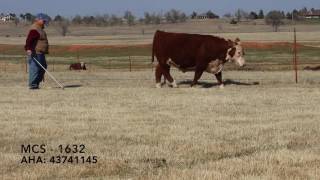 MCS 1632