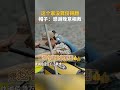 这个家没#龚俊 得翻!#李沁 的帽子:感谢#张晚意 相救~ #花儿与少年同心季 #shorts