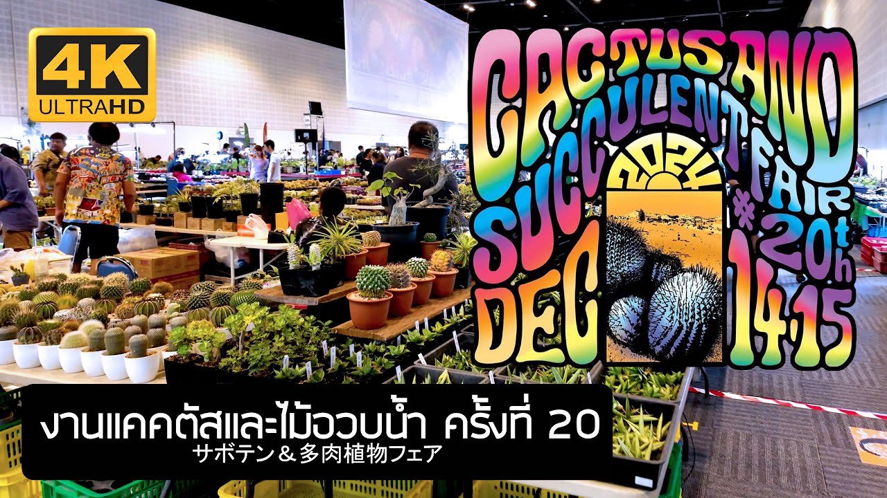 Thailand 20th Cactus & Succulents Fair 2024 งานแคคตัสและไม้อวบน้ำ ครั้งที่ 20 2567 Bangkok