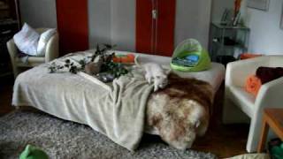 DSCF0644.AVI