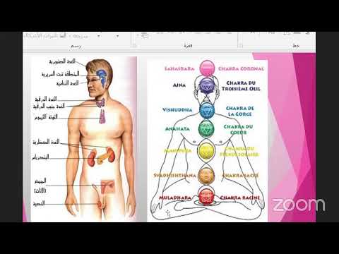 فيديو: أين تذهب الطاقة الحيوية وأين تحصل على الموارد؟