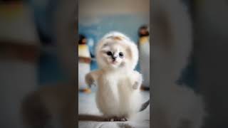 mabobo sya lalala #cat #cute #funny #catdance #catlover #shorts #shortvideo #shortsviral  #fyp