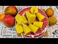 Helados cremosos de mango y mandarina - Helados de mango y mandarina +